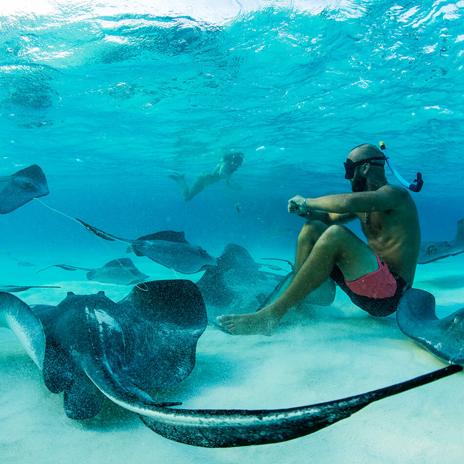 cayman islands snorkeling tour